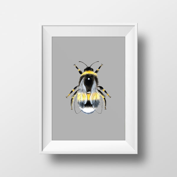 Grey Background Manchester Bee Print Photo Art - HD Manchester